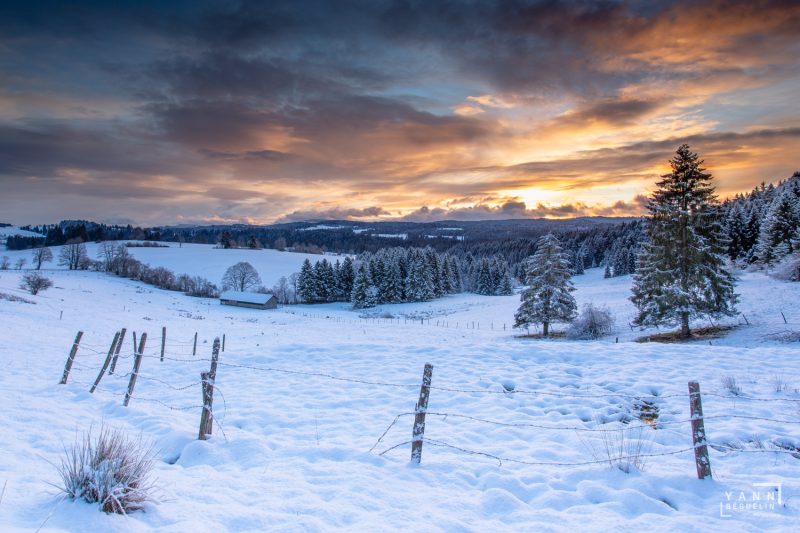 Photographie de paysage prise dans la région des Franches-Montagnes dans le canton du Jura en Suisse