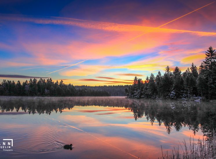 Photographie de paysage prise à l'Etang de la Gruère dans la Région des Franches-Montagnes dans le canton du Jura en Suisse